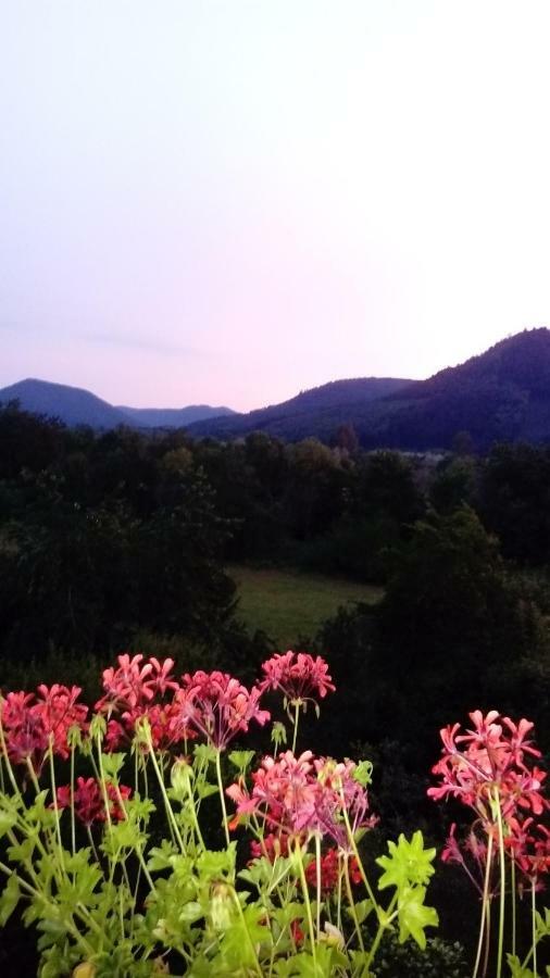 Au Gre Des Sentiers Chez Marie Et Pierre Bed & Breakfast Saint-Die-des-Vosges Exterior photo